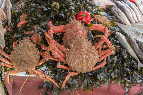 Meeresfrüchte am Fischmarkt in Essaoura, Marokko photo