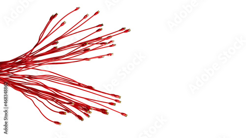 Viele rote Ethernet Kabel für Internet Netzwerk