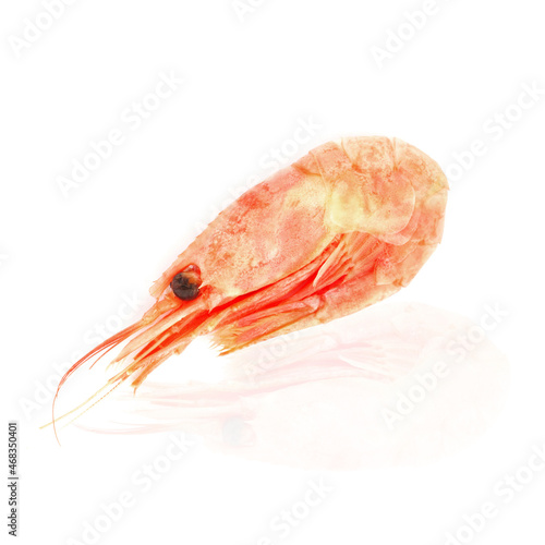 shrimp isolated on white background with reflection