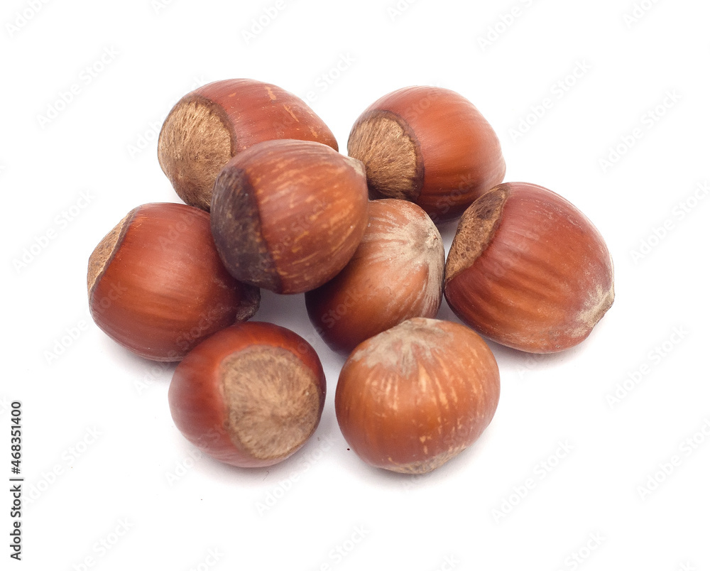 a bunch of hazelnuts isolated on a white background a bunch of hazelnuts isolated on a white background