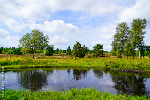 Weseler Heide nature reserve. Green landscape with ponds near the Lueneburg Heath.
