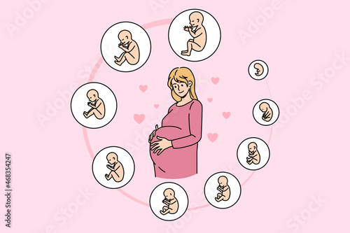 Pregnant woman touch belly ready for future maternity. Pregnancy embryo stages development. Baby childbirth phases by month. Fertility, ivf, motherhood concept. Vector illustration.  photo