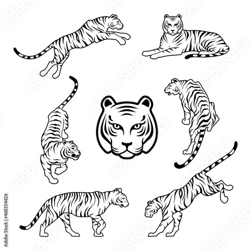 Fototapeta Naklejka Na Ścianę i Meble -  Tiger on white background Happy new year china 2022 design vector illustration Tigers logotype symbol
