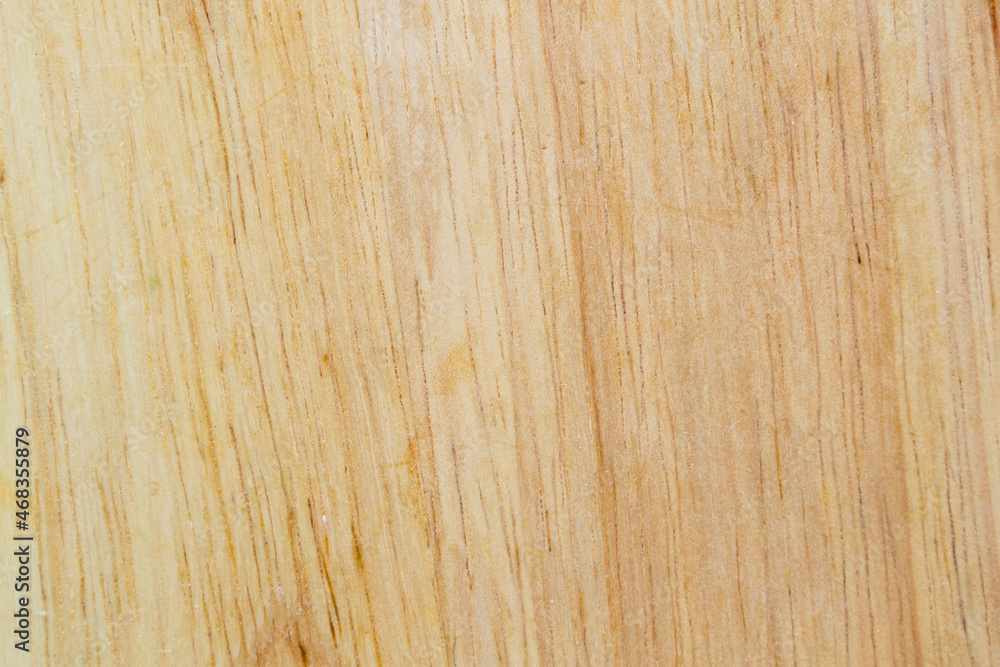 Obraz premium Light natural wood texture background