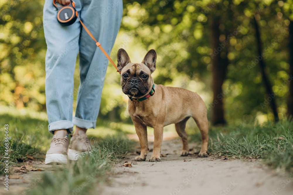Young woman with her pet french bulldog in park