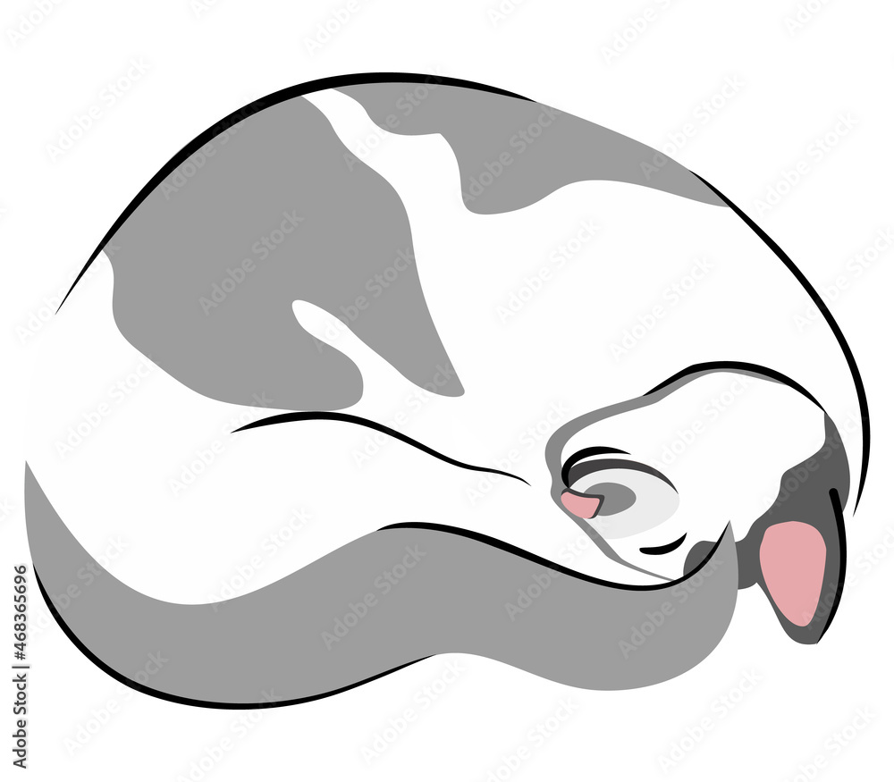 Vector isolated illustration of cat curled up in a ball. Line art with spots.