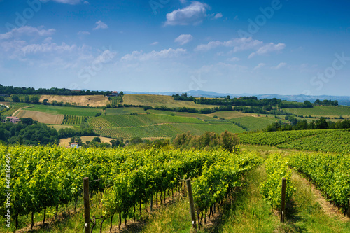 Country landscape near Meldola and Bertinoro  Emilia-Romagna