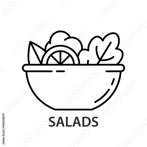 Salad linear icon. Outline simple vector of bowl with fresh vegetables and greens. Contour isolated pictogram on white background photo