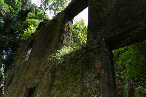 Ruins of ancient villa in the Grena park, Sao Miguel island, Azores photo