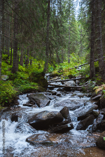 Beautiful landscape of a waterfall in the forest with water and stones in the foreground