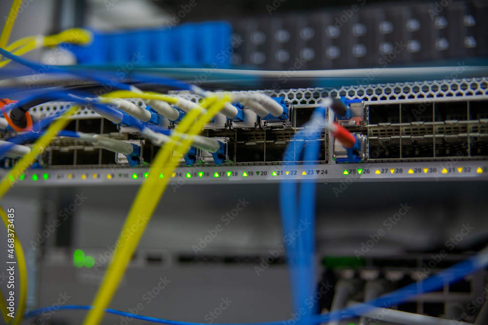 network cables connected to a network network cables connected to a network