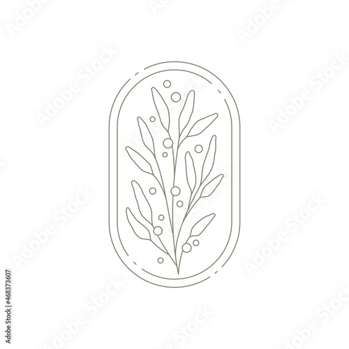 Minimalist botanical branch with leaves decorated by design elements at circle frame emblem