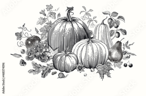 Harvest. Pumpkins and fruits. Autumn vintage botanical illustration. Black and white