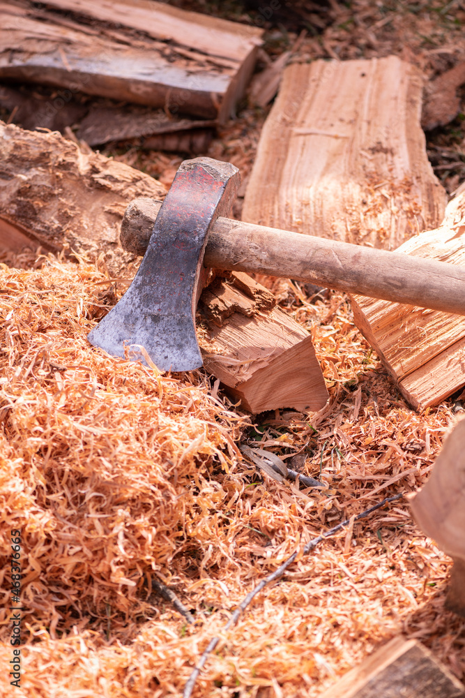 Fototapeta premium Woodcutting equipment, saw dust and logs
