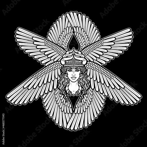 Cartoon drawing: beautiful woman in a horned crown with eight wings, a character in Assyrian mythology. Ishtar, Astarta, Inanna. Vector white illustration isolated on a black background.  photo