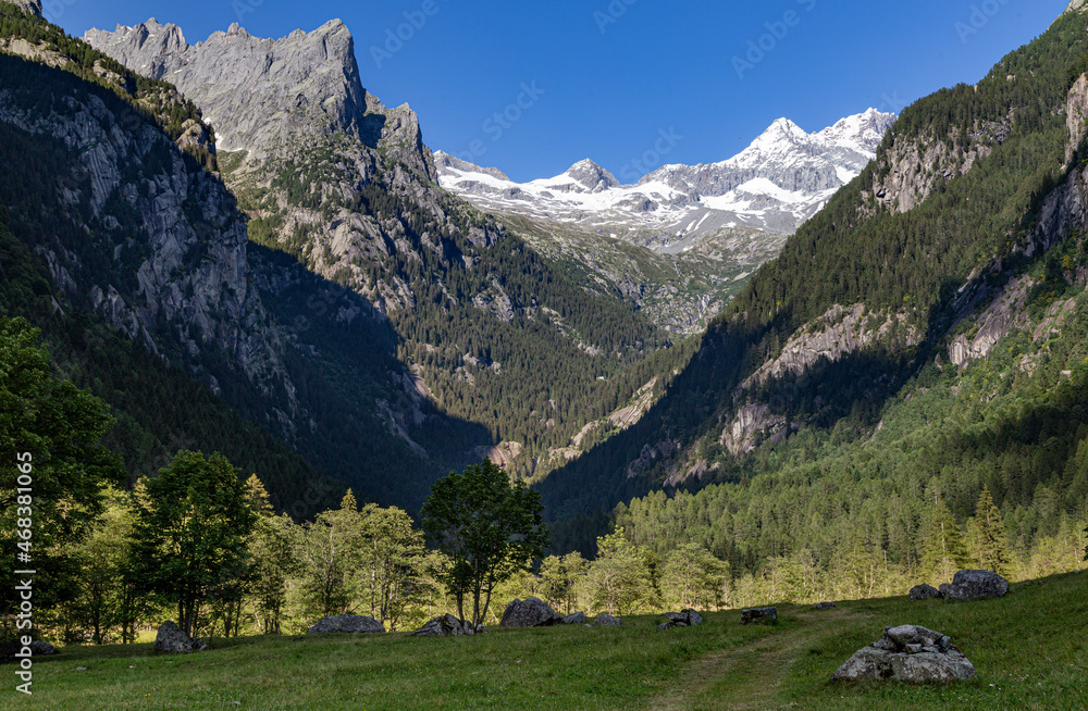 Panorama di Montagna 