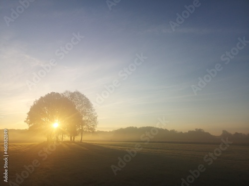 sunrise over the field