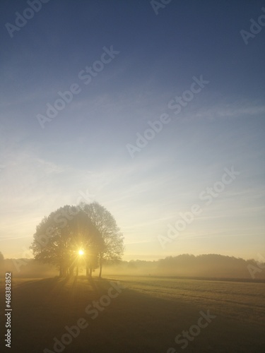sunrise in the field