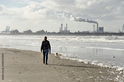 Hook of Holland, The Netherlands, November 5, 2021: woman walking the dog on the beach close to the shoreline, with the industry of Maasvlakte in the background