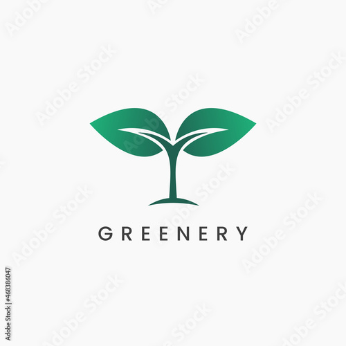 Healthy and fresh growing plant seeds logo design. Greenery logo design