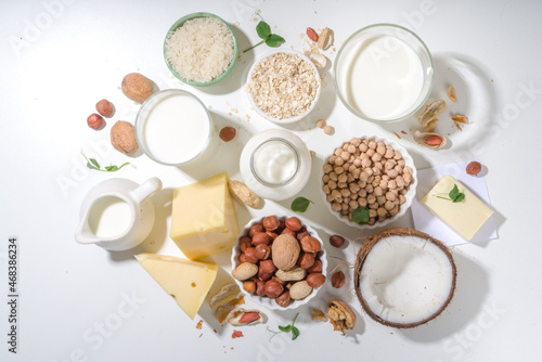 Vegan non-dairy products. Plant-based alternative dairy products     milk  cream  butter  yogurt  cheese  with ingredients - chickpeas  oatmeal  rice  coconut  nuts