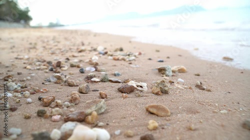 Sandy beach with wet shells on the beach
