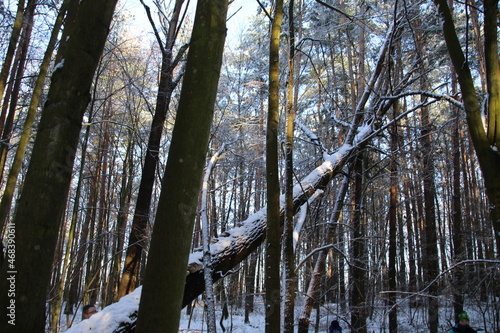 Fototapeta Naklejka Na Ścianę i Meble -  First attempt for my photography history

