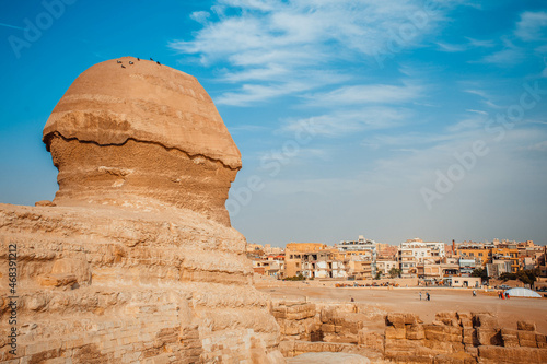 view on the sphinx in cairo, egypt