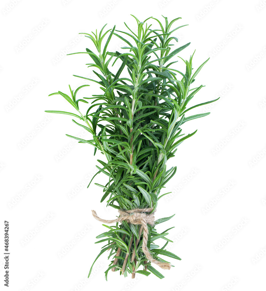 Bunch of thyme Bunch of thyme