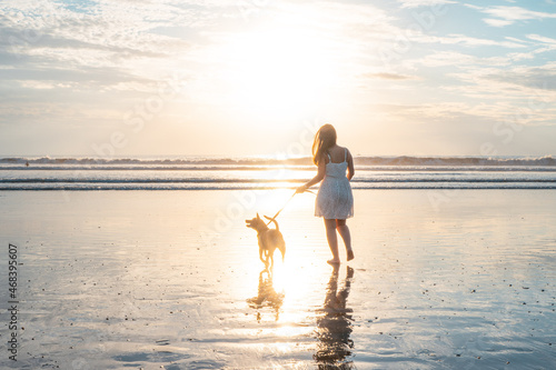 atardecer en playa Guanacaste Costa Rica, caminando el perro y disfrutando del sol y el mar en la hora dorada