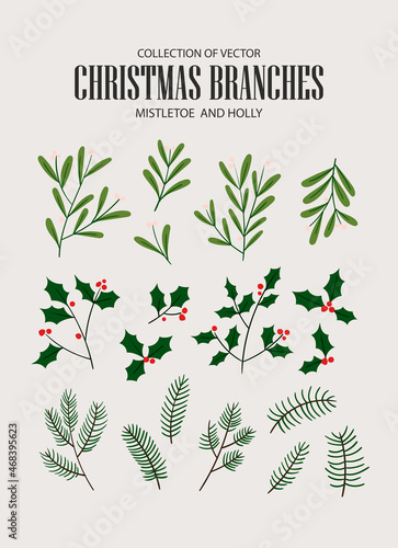 Collection of Christmas design elements: spruce branch, Christmas tree, holly, mistletoe, berry