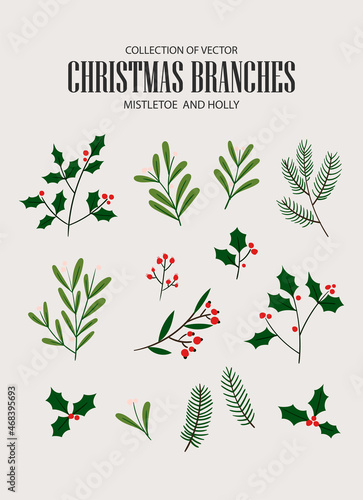 Collection of Christmas design elements: spruce branch, Christmas tree, holly, mistletoe, berry