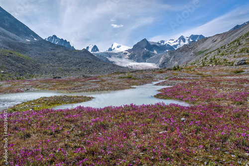 glacier mountains flowers river hiking summer