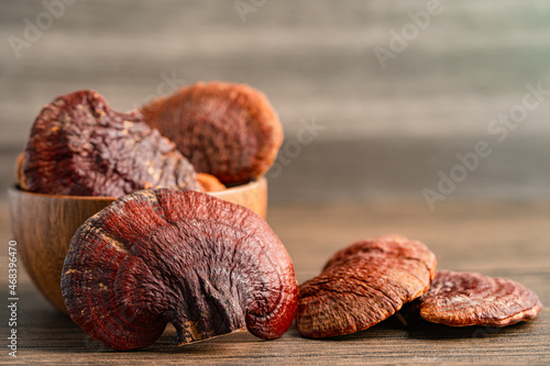 Dried lingzhi mushroom isolated on white background with clipping path.