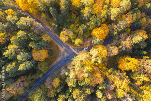 Aerial autumn fall sunny day view of road © Top Lithuania
