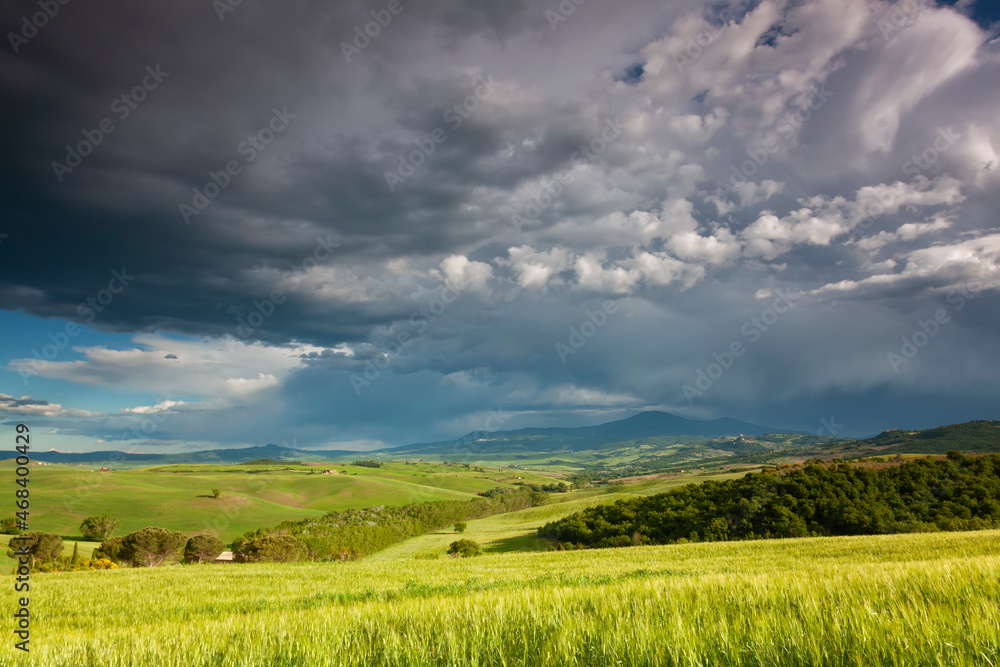 Typical spring rural landscape of Tuscany , Italy