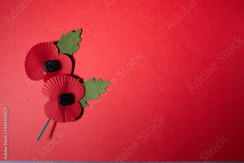 World War remembrance day. Red poppy is symbol of remembrance to those fallen in war. Red poppies on red background photo