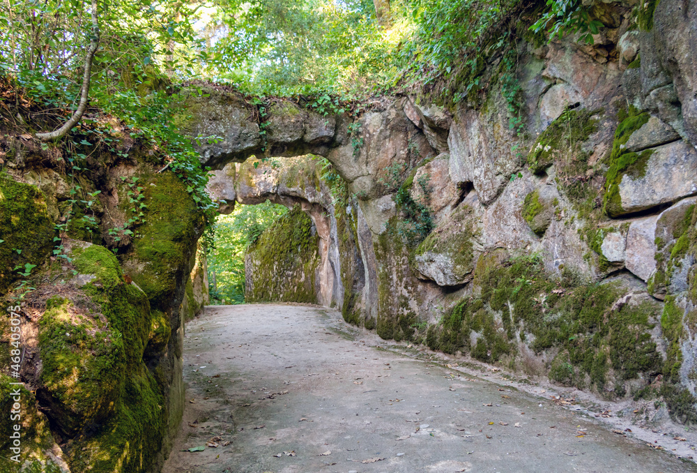 old stone bridges in the forested park old stone bridges in the forested park
