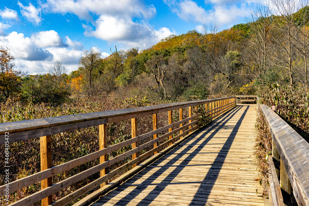 Hendrie Park Valley boardwalk trail across the marsh during autumn,  Burlington   Ontario