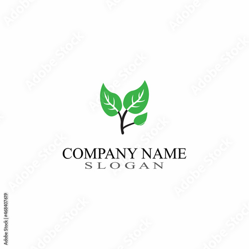 Leaf Nature Logo Design Template Vector