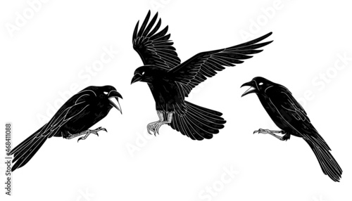 Black and white raven crow tattoo vector set