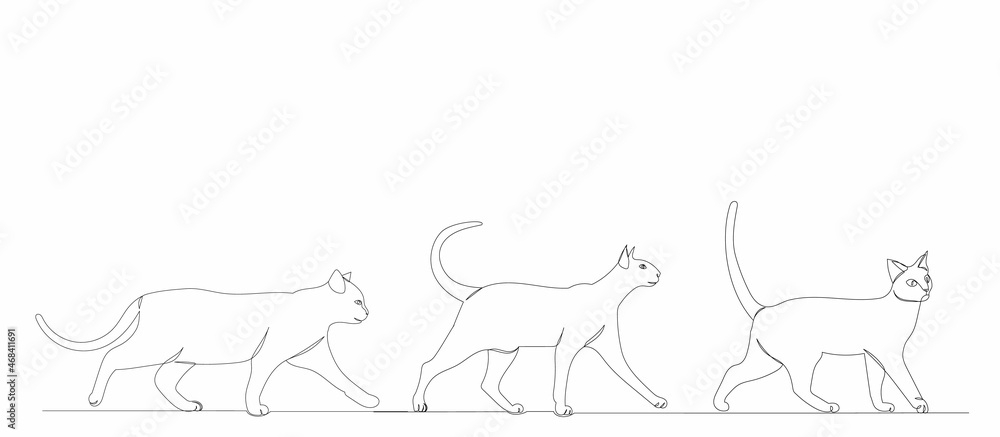 cats walk one continuous line drawing, vector, isolated cats walk one continuous line drawing, vector, isolated