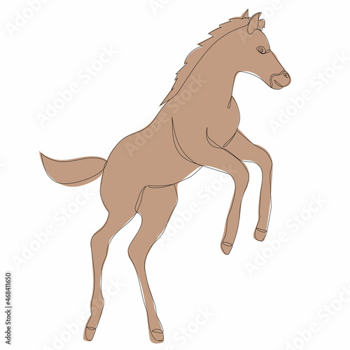sketch brown foal jumping, vector, isolated