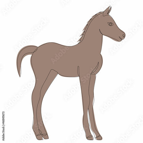 sketch brown foal, vector, isolated