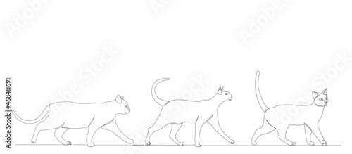 cats walk one continuous line drawing, vector, isolated