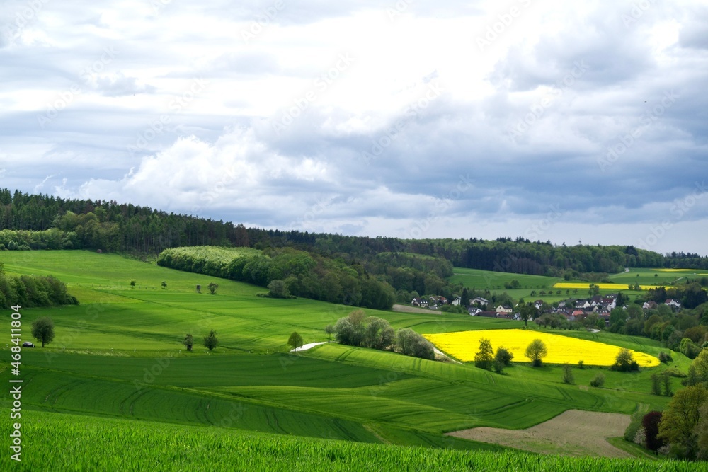 Fototapeta premium Landschaft im Taunus
