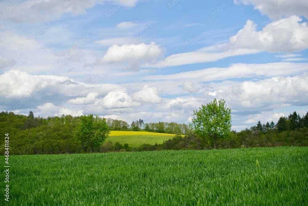 Fototapeta premium Landschaft im Taunus