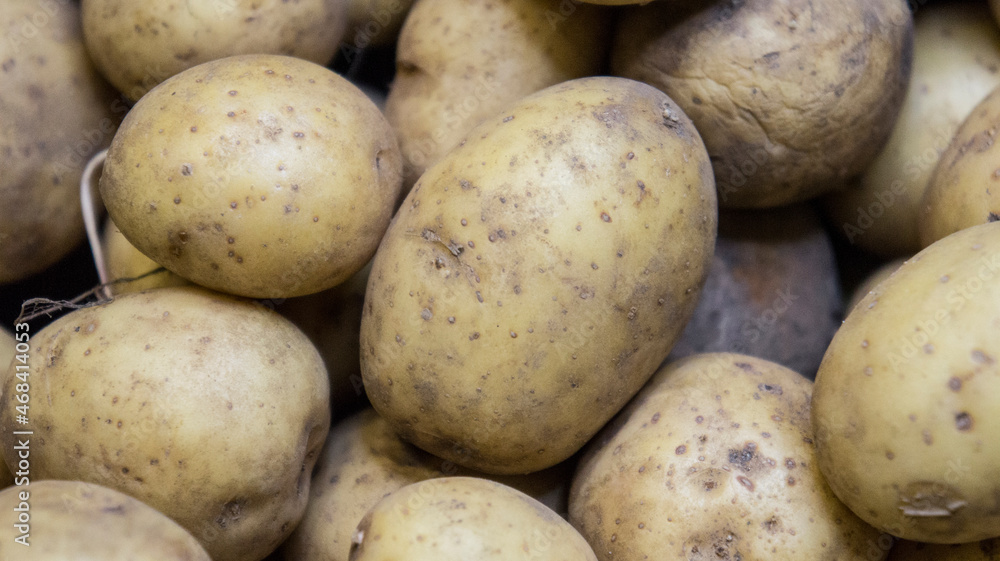 Plenty of fresh potatoes, harvest of potatoes Plenty of fresh potatoes, harvest of potatoes