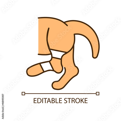 Pet sprain RGB color icon. Animal with hurt limb. Hips and thighs strains. Joints and bones injury. Ligament stretching. Isolated vector illustration. Simple filled line drawing. Editable stroke