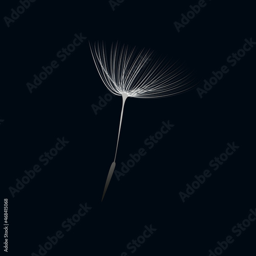 Grey and white flying dandelion seed on dark background. Pattern for gift wrapping, holiday, decoration. Vector illustration